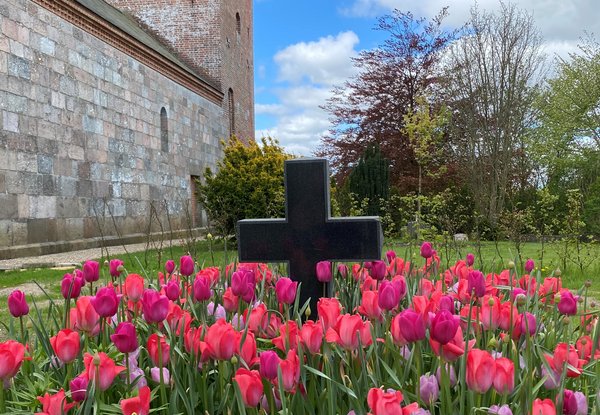 Tulipaner på Lyngå kirkegård