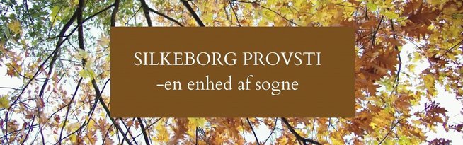 Silkeborg Provsti - en enhed af sogne